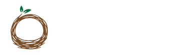 Shownex Logo