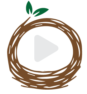 shownex logo